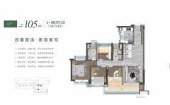 <strong>由项目方于2026年</strong>